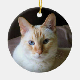 Flame Point Siamese Katze mit blauen Augen Keramik Ornament