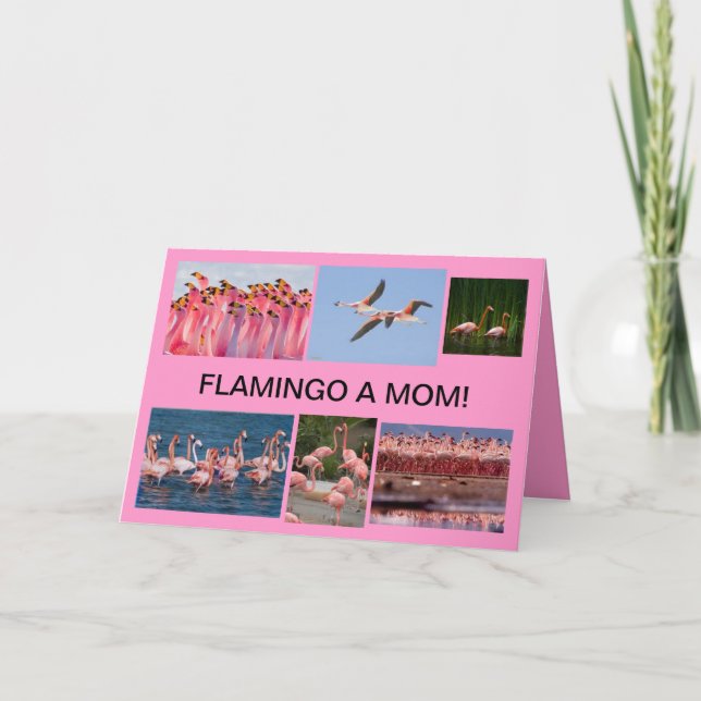 Flamigo une carte de jour de mères de maman (Devant)