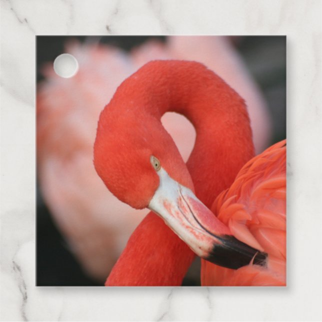 Flamingo 001 geschenkanhänger (Vorderseite)