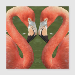 Flamingo_20170701_by_JAMFoto Magnetkarte