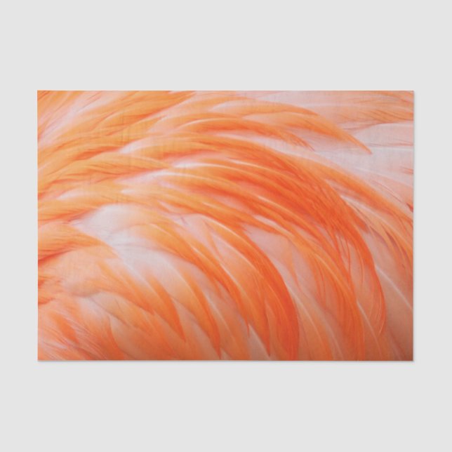 Flamingo 2 seidenpapier (Vorderseite)