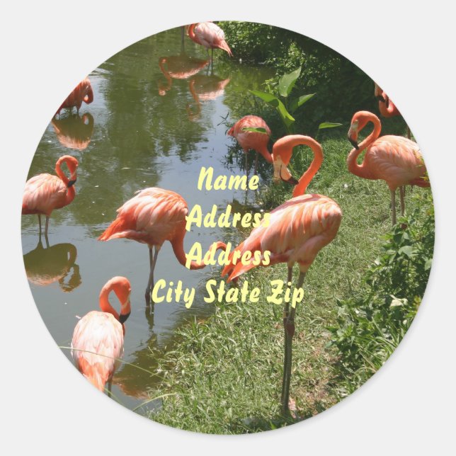 Flamingo Address Label Runder Aufkleber (Vorderseite)