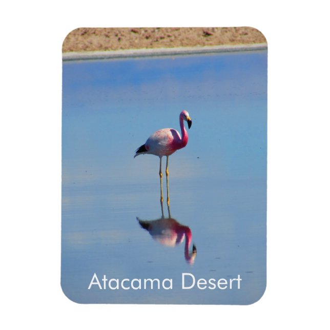 Flamingo Atacama Desert Flexible Magnet (Vertikal)