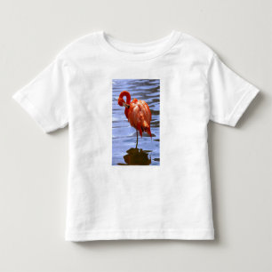 Flamingo auf einem Bein im Wasser Kleinkind T-shirt