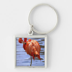 Flamingo auf einem Bein im Wasser Schlüsselanhänger
