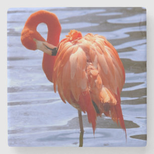 Flamingo auf einem Bein im Wasser Steinuntersetzer