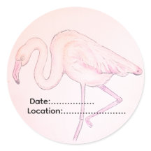 Flamingo-Aufkleber für Vogelbeobachter