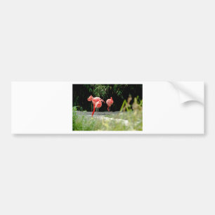 Flamingo Autoaufkleber