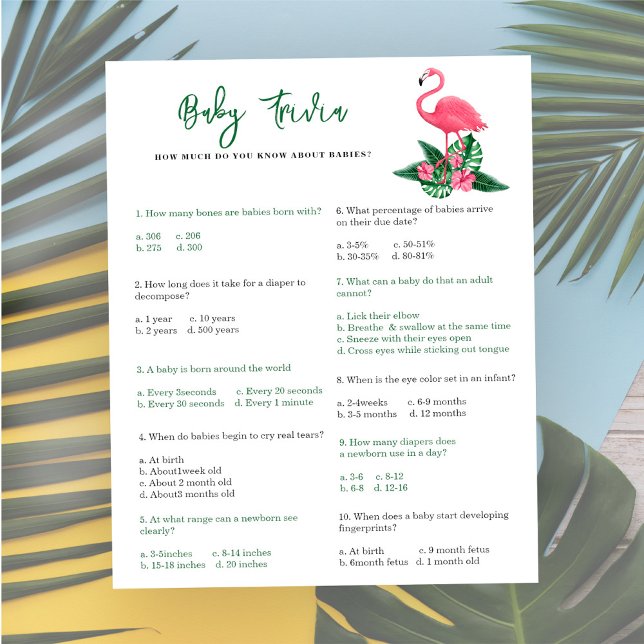 Flamingo - Baby Trivia | Baby Showspiel (Von Creator hochgeladen)