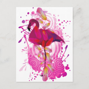 Flamingo (Begriffsklärung) Postkarte