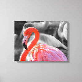 Flamingo Bird Fotografy Leinwanddruck
