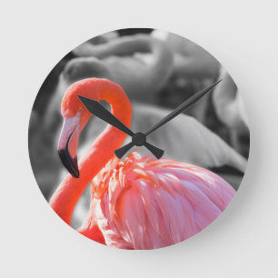 Flamingo Bird Fotografy Runde Wanduhr