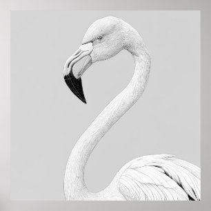 Flamingo Bird Wild Nature Animal Illustration Art Poster