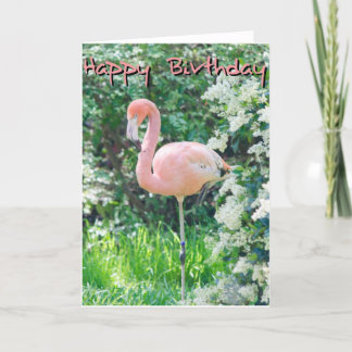 Flamingo Birthday Card Karte
