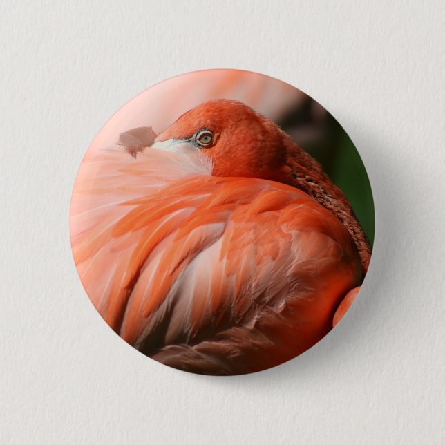 Flamingo Button (Vorderseite)