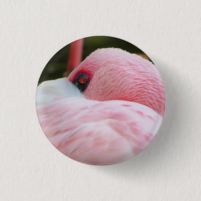 Flamingo Button (Vorderseite)