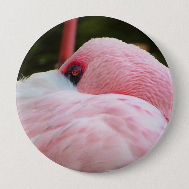 Flamingo Button (Vorderseite)