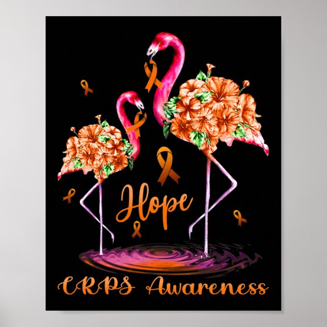 Flamingo Crps Bewusstsein Poster (Vorne)