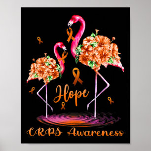 Flamingo CRPS Bewusstsein Poster