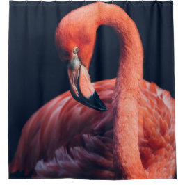 Flamingo Duschvorhang