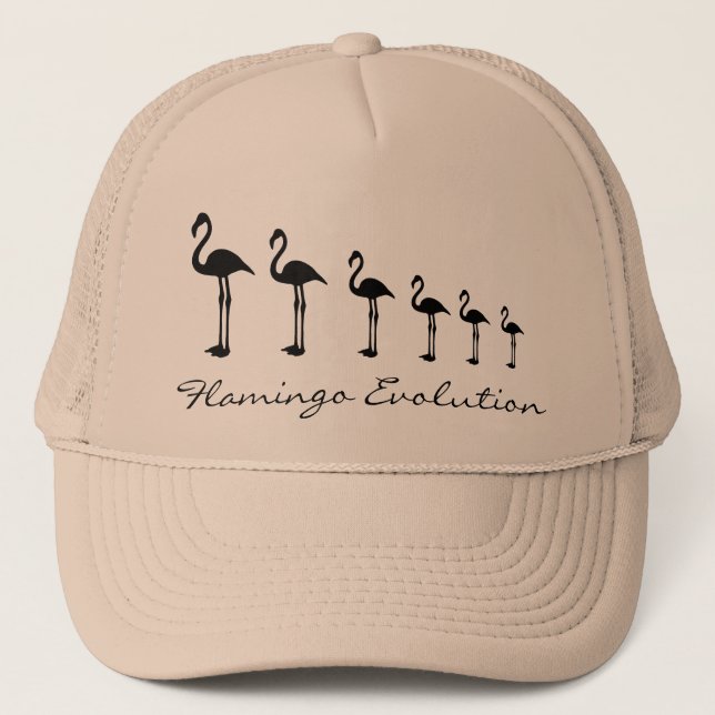 Flamingo Evolution Funky Hat / Cap Truckerkappe (Vorderseite)