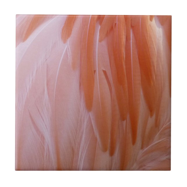 Flamingo Feathers in Pink-Schatten Fliese (Vorderseite)