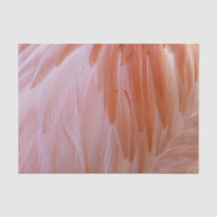 Flamingo Feathers in Pink-Schatten Seidenpapier