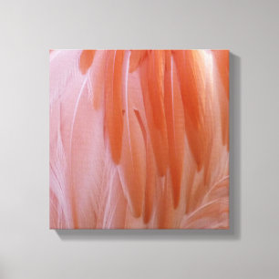 Flamingo Federn in Rosa-Tönen Leinwanddruck