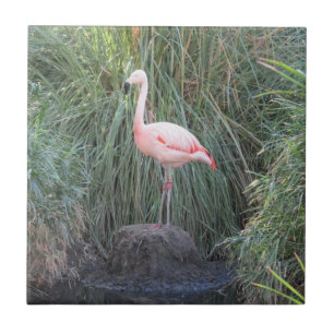 Flamingo Fliese