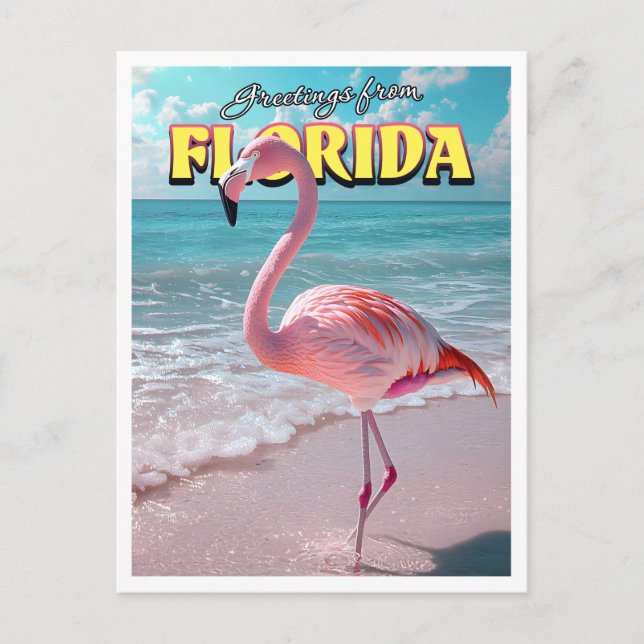 Flamingo Florida Postcard Postkarte (Vorderseite)