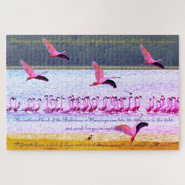 Flamingo Fun 20"x30" - 1,014 Stück (Horizontal)