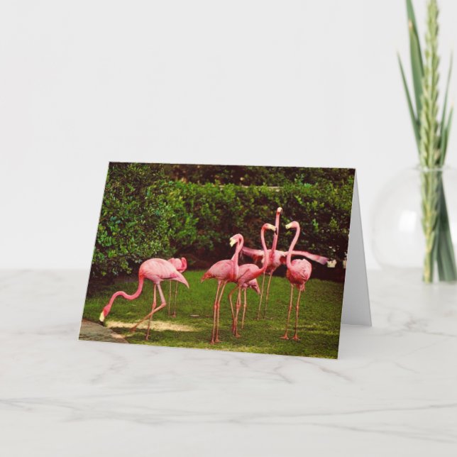 Flamingo Geburtstagskarte Karte (Vorderseite)