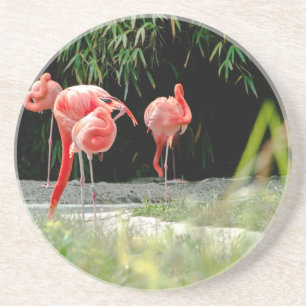 Flamingo Getränkeuntersetzer