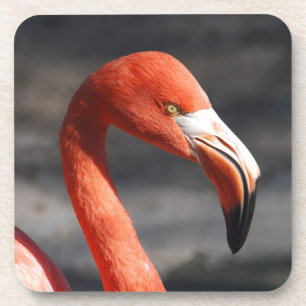 Flamingo Getränkeuntersetzer