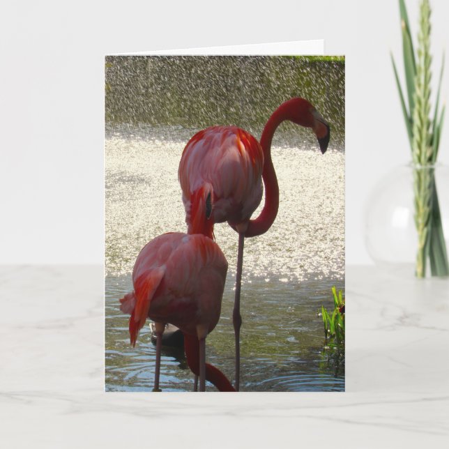 Flamingo Grußkarte für jeden Anlass Karte (Vorderseite)