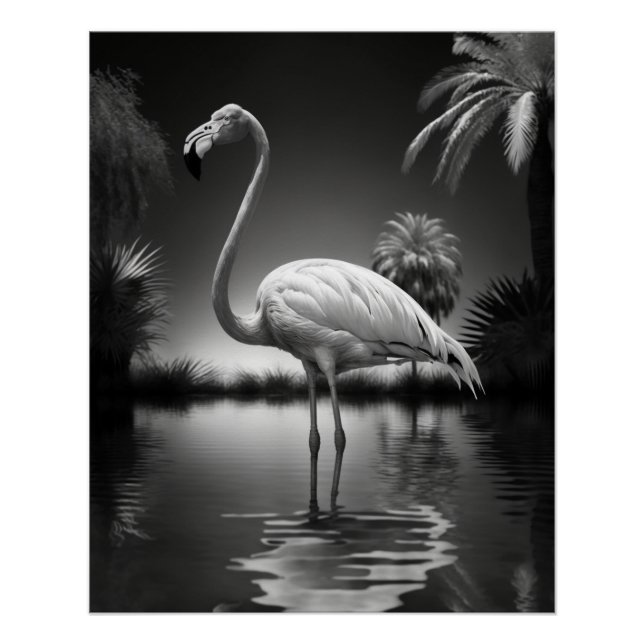 Flamingo in einem Pool Poster (Vorderseite)
