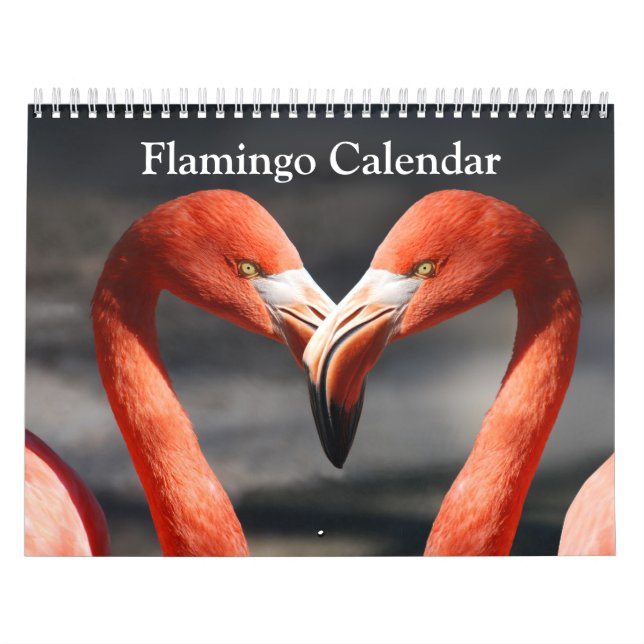 Flamingo-Kalender 2019 Kalender (Titelbild)