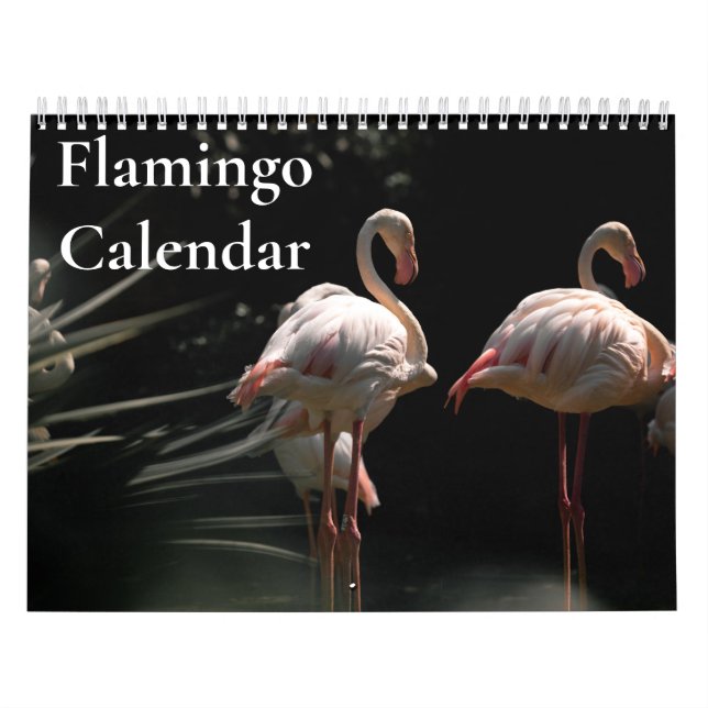 Flamingo-Kalender 2025 Kalender (Titelbild)