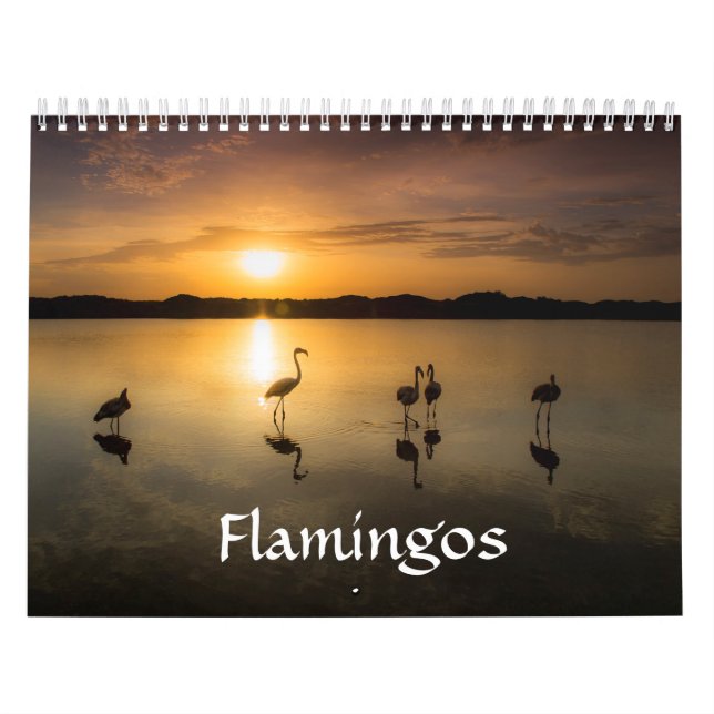 Flamingo-Kalender Kalender (Titelbild)
