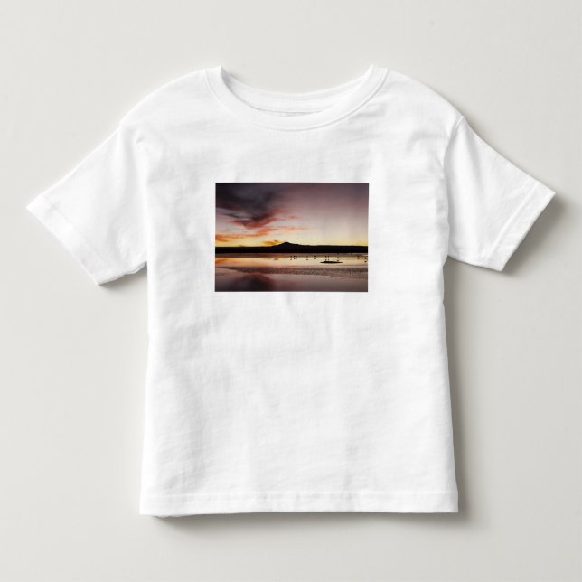 Flamingo Kleinkind T-shirt (Vorderseite)