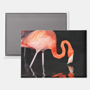 Flamingo-Kühlschrankmagnet Magnet