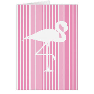 Flamingo-Liebe