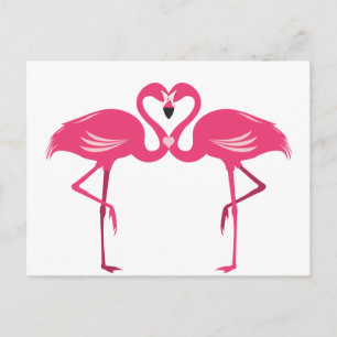 Flamingo-Liebe Postkarte