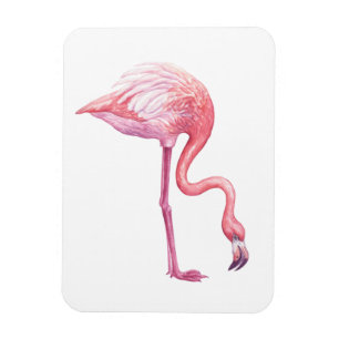 Flamingo Magnet