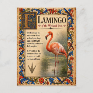 Flamingo, mittelalterliche Bestiarien-Kunst Postkarte