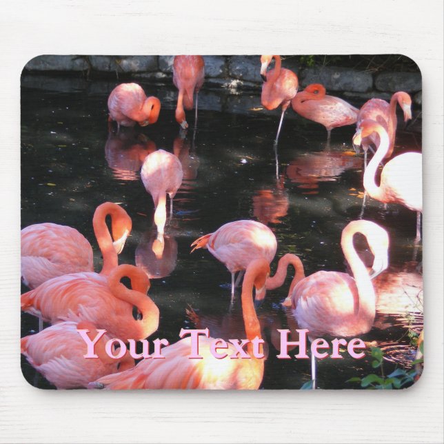 Flamingo Mousepad (Vorne)