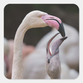 Flamingo Mutter und Baby Quadratischer Aufkleber