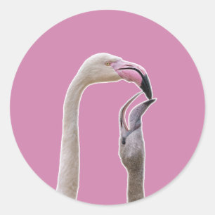 Flamingo Mutter und Baby Runder Aufkleber