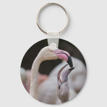 Flamingo Mutter und Baby