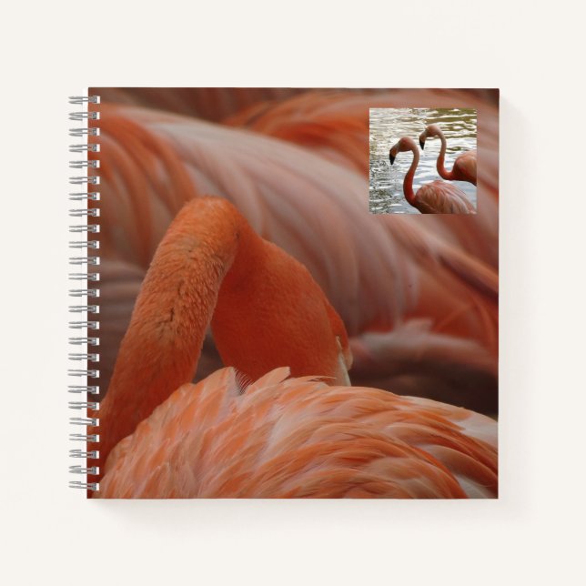 Flamingo Nah Up Notebook Notizbuch (Vorderseite)